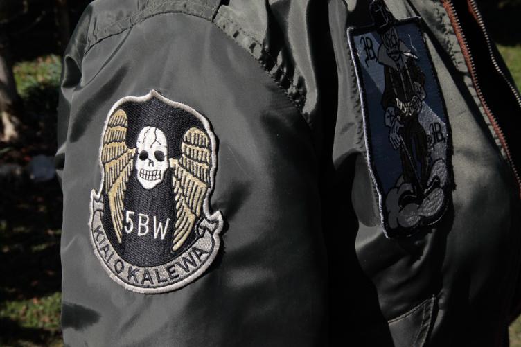 USAF L-2 Fliegerjacke BLACKBIRD 